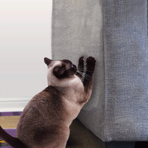 Amazing Shields Sofa Protectors from Pets-10-Pack of 18-Inch X 13-Inch Cat anti Scratch Furniture Protectors / Twist Pins- Cat Deterrent Accessories